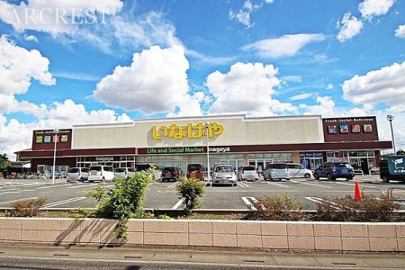 周辺環境 いなげや新座野寺店 徒歩12分。営業時間：９：３０~２１：３０(駐車場あり) 青果、生肉、お惣菜など販売しております！パンが美味しいと評判です 900m