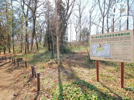 周辺環境 金山森の広場 徒歩4分。荒川の支流である黒目川を南に見る台地上に広がる約1ヘクタールの緑地です。東久留米市が昭和48年に「保存樹林」に指定し、現在は市の「森の広場」として市民の方々に利用されています…