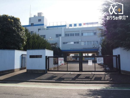 周辺環境 徒歩5分。【入間市立向原中学校】営業時間 8時15分～17時15分(土・日曜日　定休日) 340m