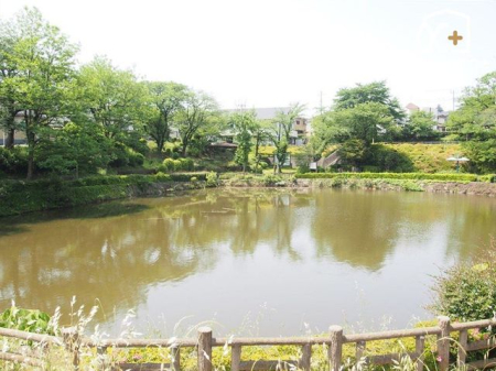 周辺環境 八津池公園 徒歩4分。 320m