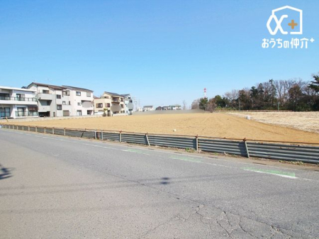 その他 2025.3.21撮影