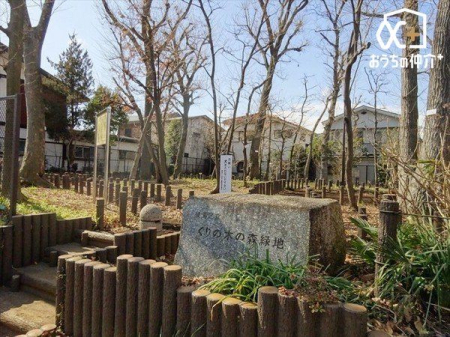 周辺環境 くりの木の森緑地 徒歩6分。ケヤキやコナラ、キンモクセイなどの林にムクドリやシジュウカラといった野鳥も遊びに来ます 460m