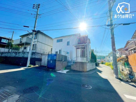 nOώʐ^ `Appearance`Ԓʂ̏ȂOʓH