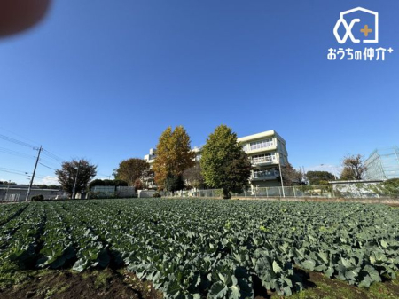 周辺環境 所沢市立北中小学校 徒歩15分。緑の多い落ち着いた環境にある小学校です。 1130m