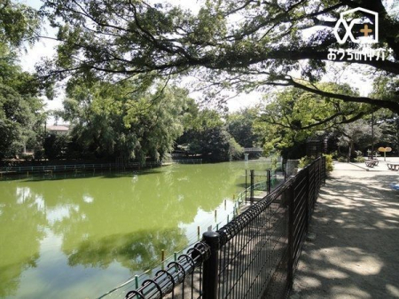 周辺環境 武蔵関公園 徒歩1分。園内ではたくさんの野鳥が見られます。 カワセミ、バン、カルガモ、コゲラ、カイツブリ、ゴイサギ、オシドリなど。 94m