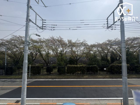 その他 南側は浄水場につき四季折々の自然を感じられます