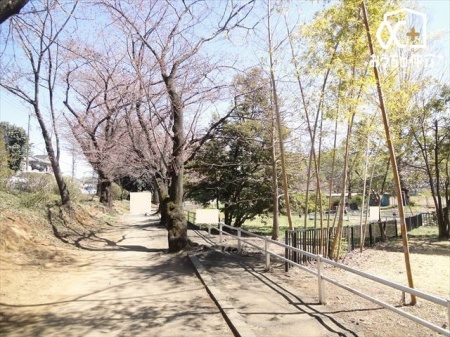 周辺環境 白山公園 徒歩8分。公園内に調整池、運動施設あり（野球） 570m