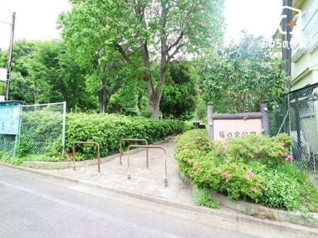 周辺環境 藤の宮公園 徒歩11分。ベンチ・水飲場・モニュメント 850m