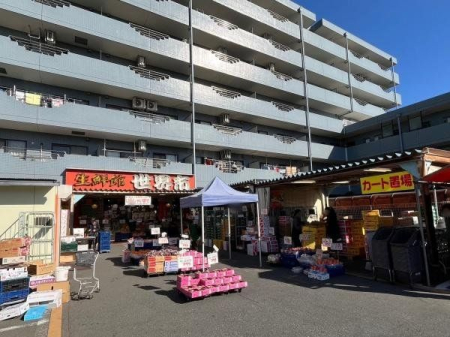 周辺環境 生鮮館世界市 徒歩3分。営業時間：午前10時～午後8時 駐車場：有 230m