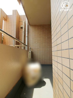 バルコニー 陽当たりの良いバルコニーの様子です。