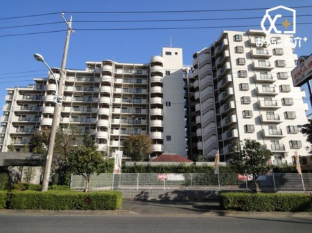 その他 生活環境の良好な閑静な住宅地です。ゆったり暮らしたい方にもおすすめのエリアです。