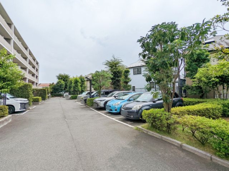 ԏ ~nԏi󂫏󋵂͒S҂ɂmFj