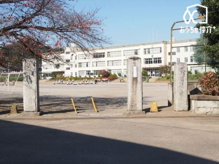 ӊ є\sє\ꏬwZ k37BqlSĒʂ܂B 2920m