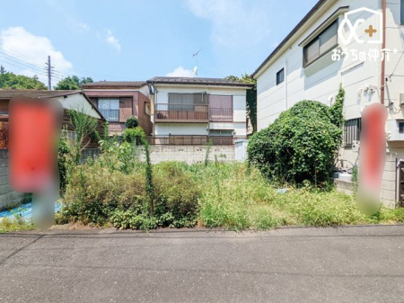 ̑ 2025/8/4݁@nXn̗lq