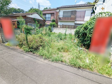 ̑ 2025/8/4݁@nXn̗lq