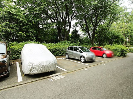 ԏ ~nԏi󂫏󋵂͒S҂ɂmFj