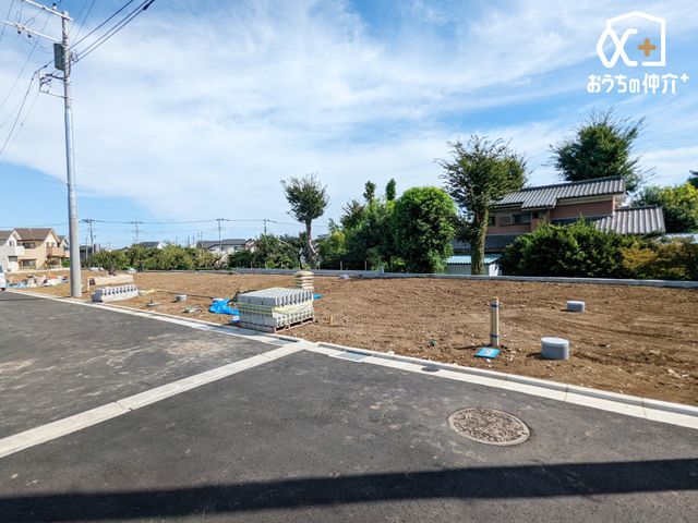 ̑ 搮n̕Ȃ̂ŁASKȓH͎qĂSłB