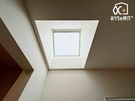 ���̑� �Q���ɂ���V���̗l�q�B