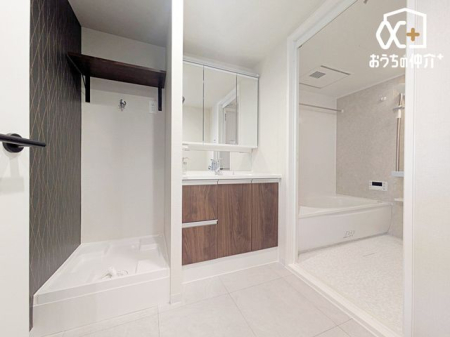 ʑEʏ zê悤ȍYʏB傫ȃ~[ƏiȏƖAԂiグ܂B