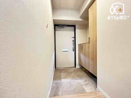 ���� �Ƒ����}���錺��