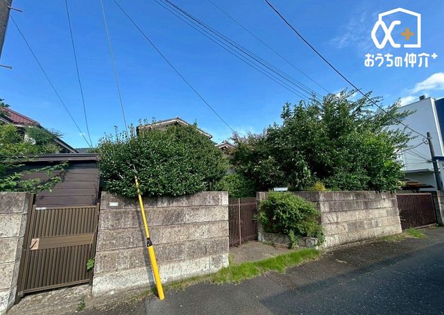 nynʐ^ ͉̍HǑÉtʐ^łI@