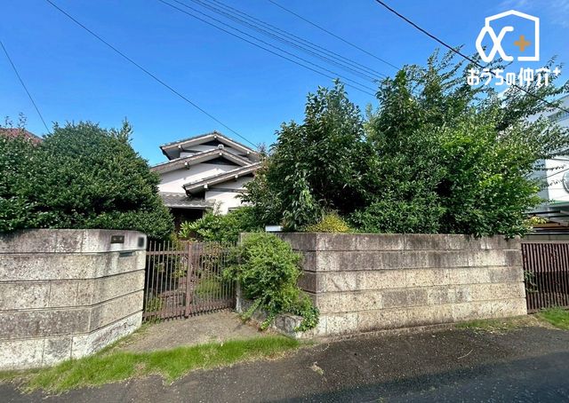 nynʐ^ nŵ₢킹҂Ă܂I