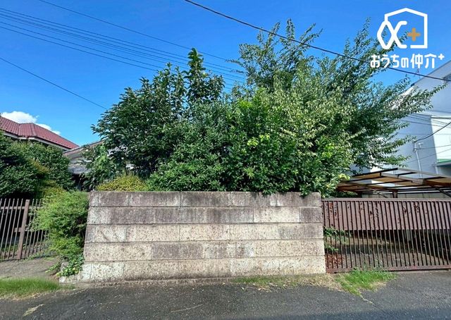 nynʐ^ 󂪍LՐÂ1w̃GAłB