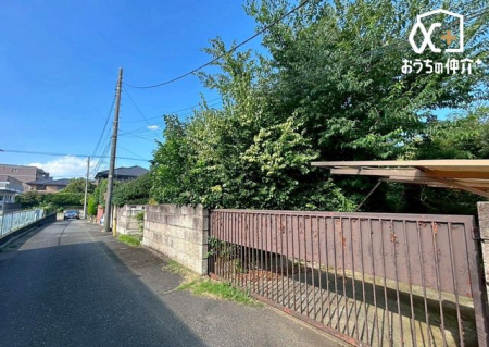 nynʐ^ 悤ȐwiɁAXƘȂޓ@́Az̉b𑶕Ɏ󂯂BLт₩ŊJIȒ]ƁAՂƍ~蒍zɁAɏZ܂ґƎĒ܂