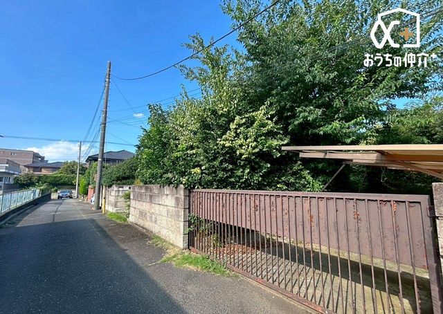 nynʐ^ 悤ȐwiɁAXƘȂޓ@́Az̉b𑶕Ɏ󂯂BLт₩ŊJIȒ]ƁAՂƍ~蒍zɁAɏZ܂ґƎĒ܂