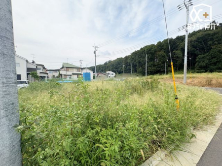 nynʐ^ EkƂɖ6mɖʂJpn