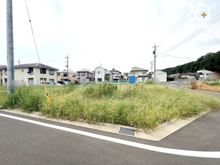 nynʐ^ zEʕǍDŖ邢ZԂ