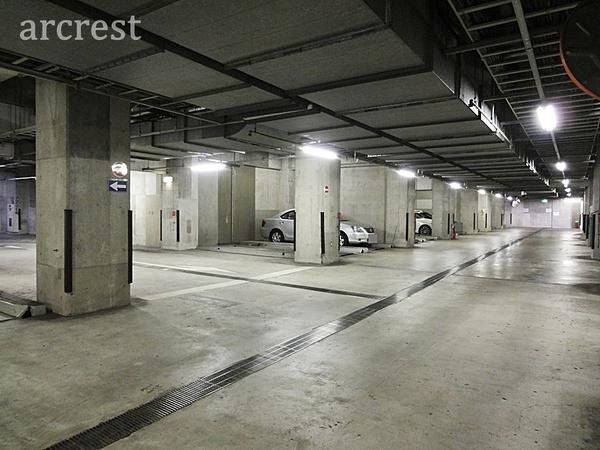 ԏ ~nԏi󂫏󋵂͒S҂ɂmFj