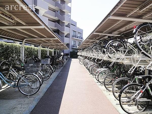 ̑ ֏͉tŉJ̓łG邱ƂȂSłB܂AĂ͏z˂򉻂Ă܂B