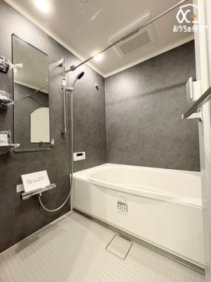  oX[ŃbNXoX^CBoX^uɂĊȂSƑ̂tbVB̔Ă鐴̂oX[B