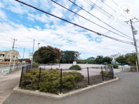 ӊ k k5Bx`AȂǂ̗V̂ΖLȌłB 370m