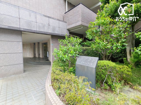 GgX Ǘs͂̂GgX̗lqłB