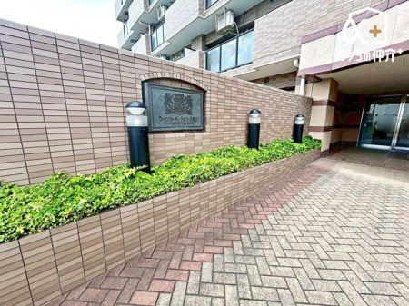 GgX ̓͐|ĂAǗ̐ǍDȕłBfUCXbLƂۂłˁIxAnɂȂĂ݂܂񂩁H