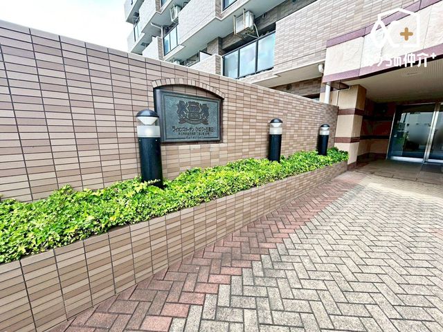 GgX ̓͐|ĂAǗ̐ǍDȕłBfUCXbLƂۂłˁIxAnɂȂĂ݂܂񂩁H