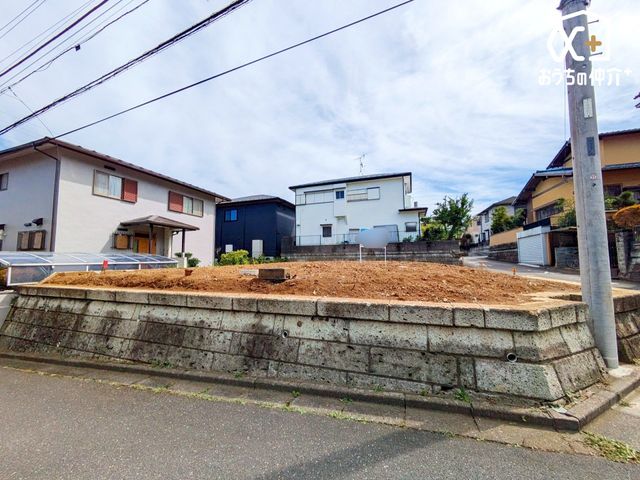 ̑ zȂ̂łDȃnEX[J[Ōz\łB