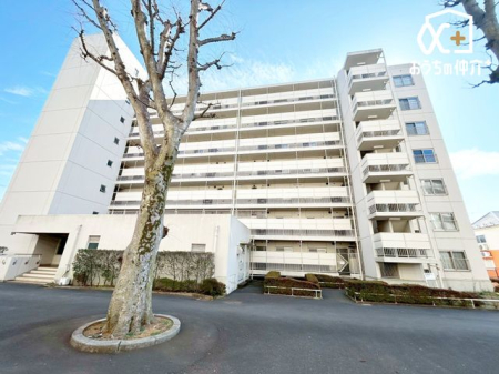 ���̑� �T���ɁA���Ƒ��E���F�l���U�����킹�̏�A���n�������ɂȂ��Ă݂܂��񂩁H���ӊ��ƍ��킹�Ă��ē��v���܂��I