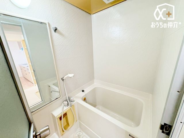  ̂ԂŃbNXoX^CBoX^uɂĊȂSƑ̂tbVB̔Ă鐴̂oX[B