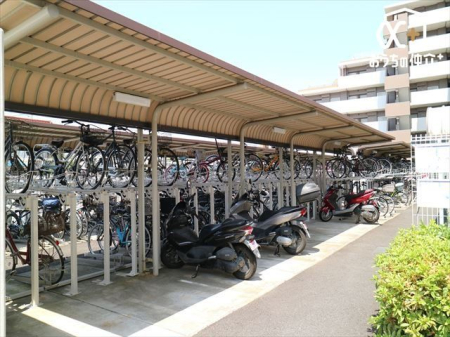 ̑ ֏͉tŉJ̓łG邱ƂȂSłB܂AĂ͏z˂򉻂Ă܂B