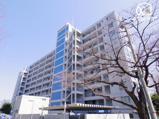 nOώʐ^ VhErܐuvw܂œk12̗nI