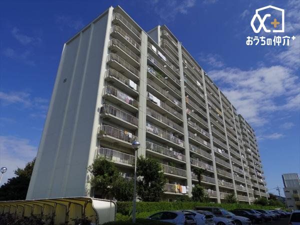 nOώʐ^ rܐuԎsvw܂œk16oRj[瑾žƐSn悢͂܂