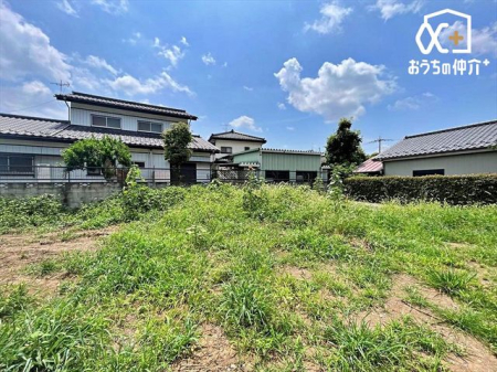 nOώʐ^ 2025.7.3Be̍Xn̗lqB