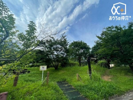 ���ӊ� ����J���`���[�p�[�N �k��13���B�L���S���t�A�L�����v��Ȃ� 1040m