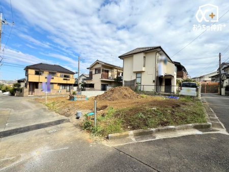 ̑ `Appearance`Ԓʂ肩牜܂n̂߁AÂȊłBǍDB꓏ƂɌ搂ȂAŜƂēꊴ̂X݂ł