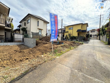 ̑ `Appearance`zʕǍD̗nBJ܂ˁB