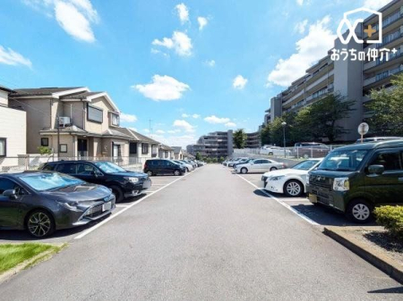 ԏ ~nԏi󂫏󋵂͒S҂ɂmFj