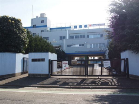 ӊ k16ByԎswZzcƎ 815`1715(yEj@x) 1250m